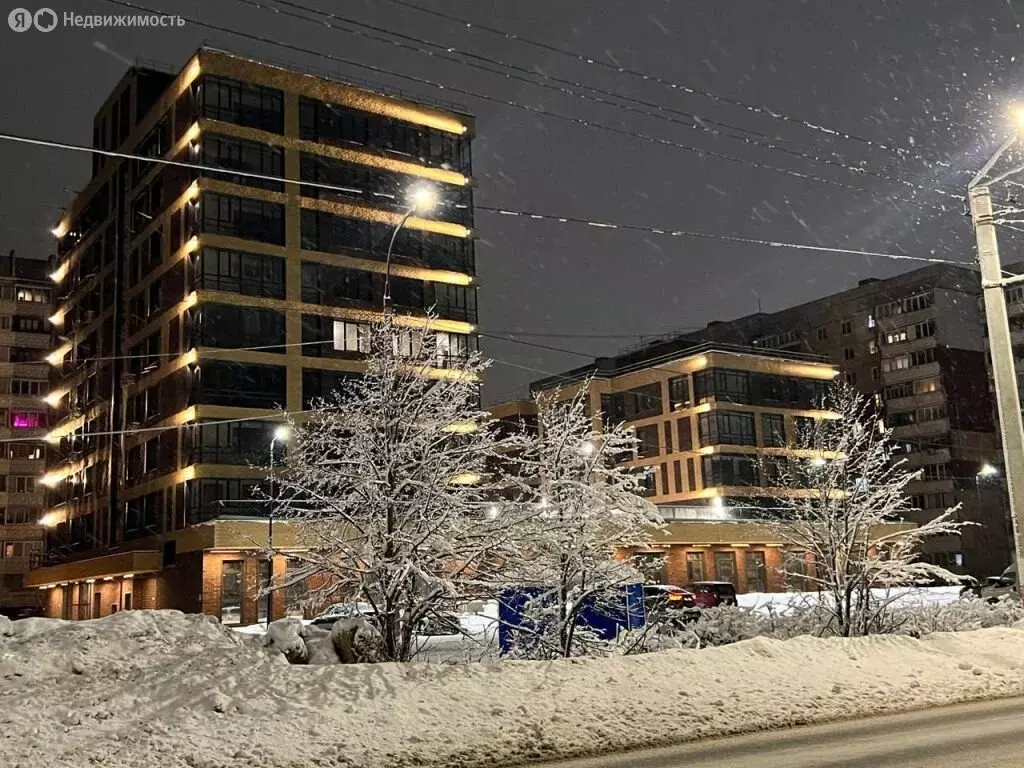 Квартира-студия: Дзержинск, проспект Циолковского, 100В (50 м) - Фото 2