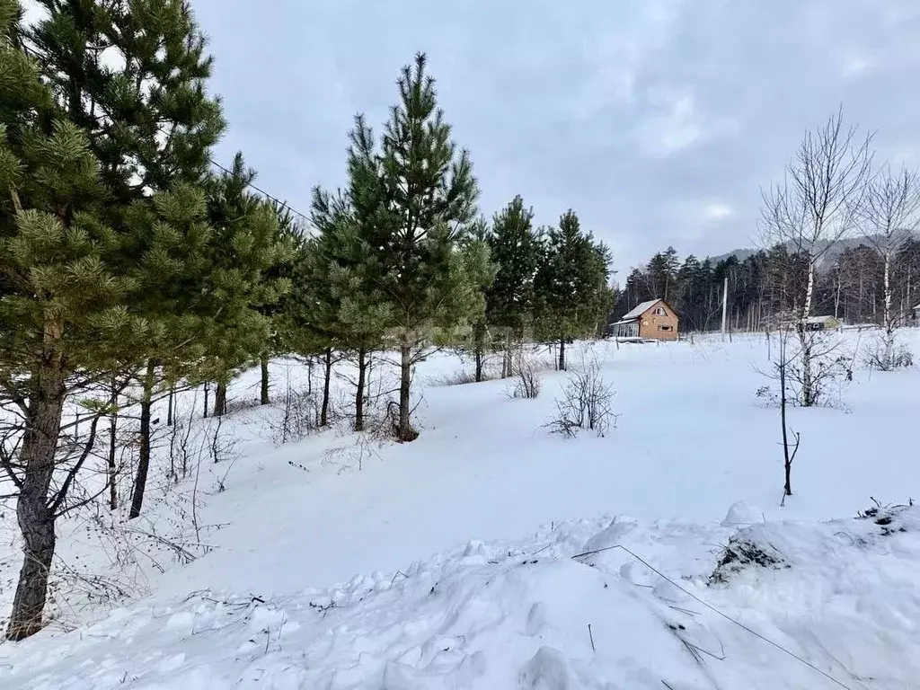 Участок в Алтай, Майминский район, с. Озерное ул. Калинов Лог (14.3 ... - Фото 0