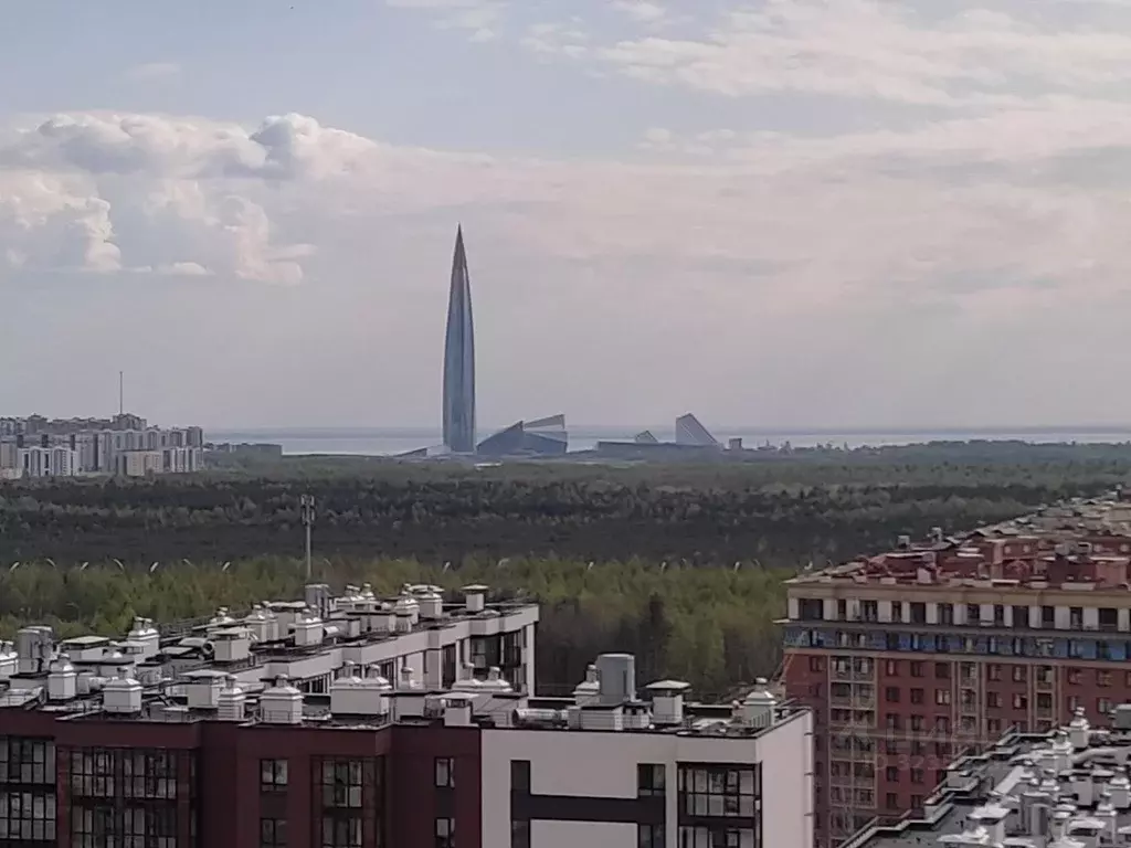 Студия Санкт-Петербург ул. Плесецкая, 10 (21.0 м) - Фото 0