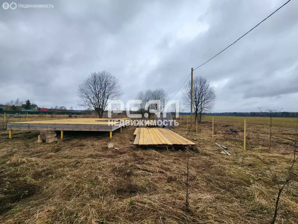 Участок в Клопицкое сельское поселение, деревня Красные Череповицы (15 ... - Фото 2