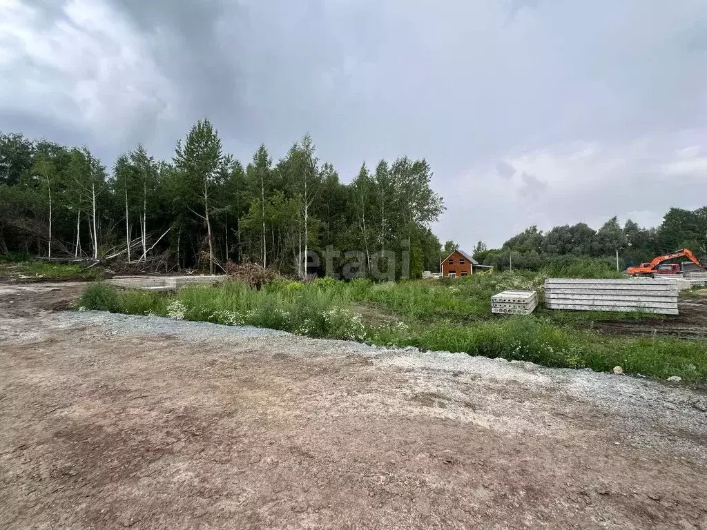 Участок в Новосибирская область, Новосибирский район, Каменский ... - Фото 0