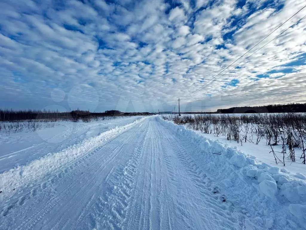 Участок 5 сот. (СНТ, ДНП) - Фото 1