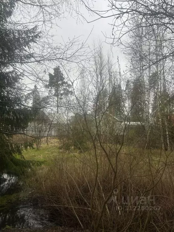 Участок в Санкт-Петербург, Санкт-Петербург, Зеленогорск ул. 1-я ... - Фото 1