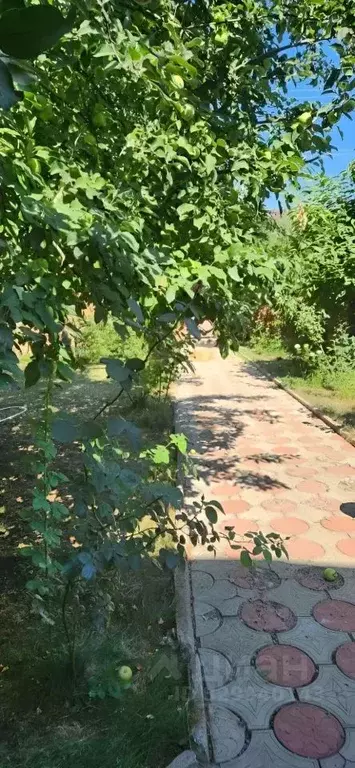 Таунхаус в Ростовская область, Шахты ул. Южное крыло (150 м) - Фото 2