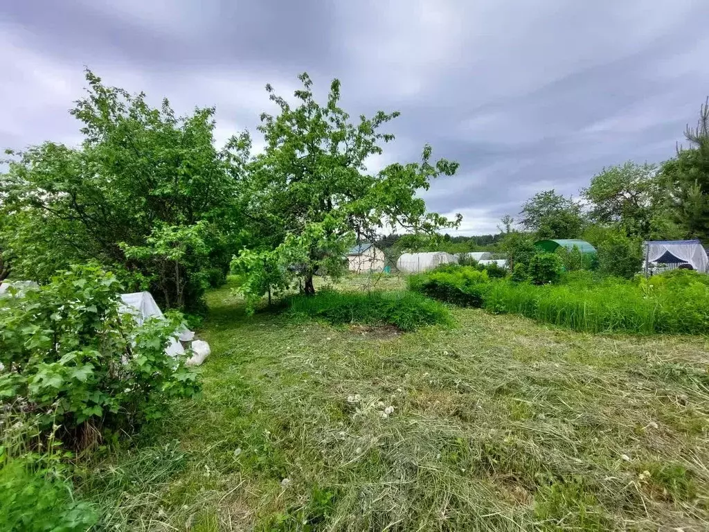 Участок в Костромская область, Кострома Просвещенец СТ,  (6.39 сот.) - Фото 2