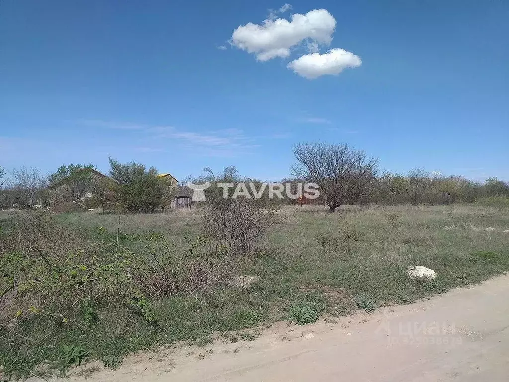 Участок в Крым, Симферопольский район, Трудовское с/пос, Минерал СНТ  ... - Фото 2