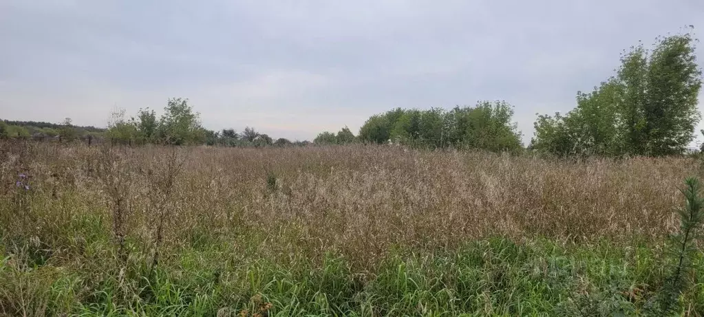 Участок в Курская область, Курский район, Лебяженский сельсовет, с. ... - Фото 0