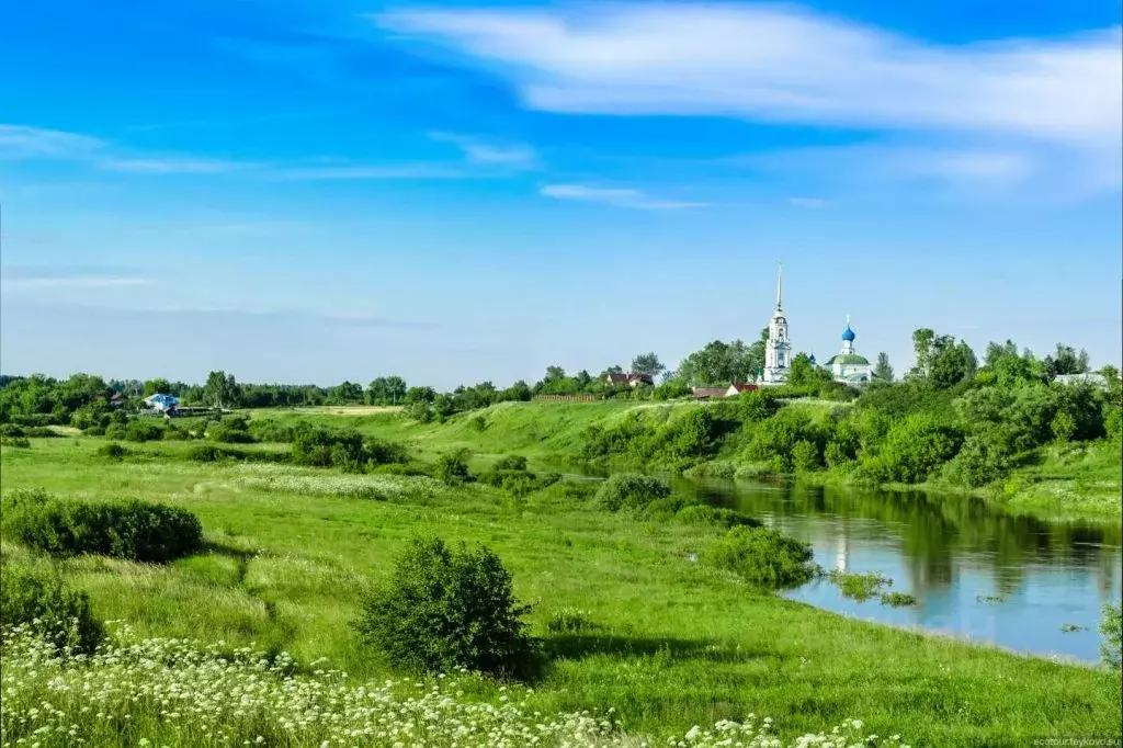 Участок в Ивановская область, Тейковский район, Нерльское городское ... - Фото 0