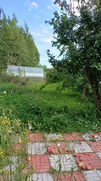 Дом в Московская область, Домодедово городской округ, с. Кишкино ул. ... - Фото 2