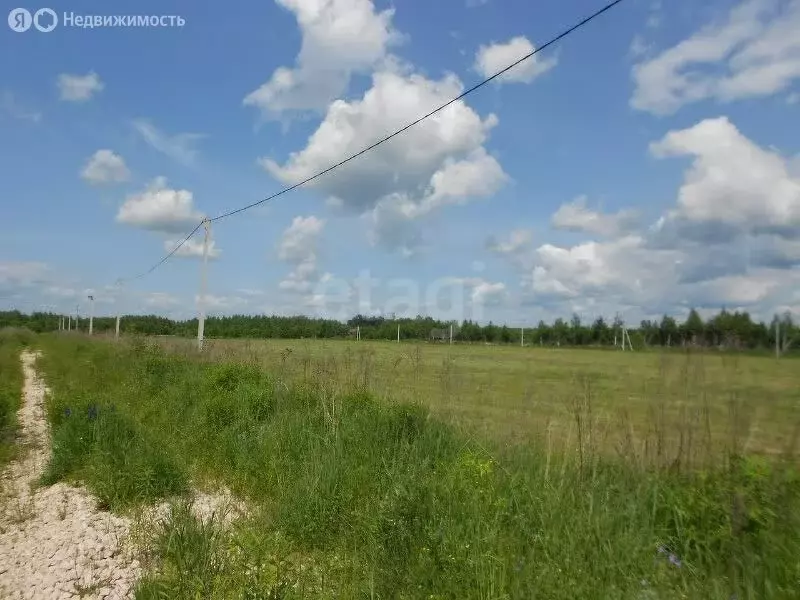 Участок в Нижегородская область, Богородский муниципальный округ, село ... - Фото 0