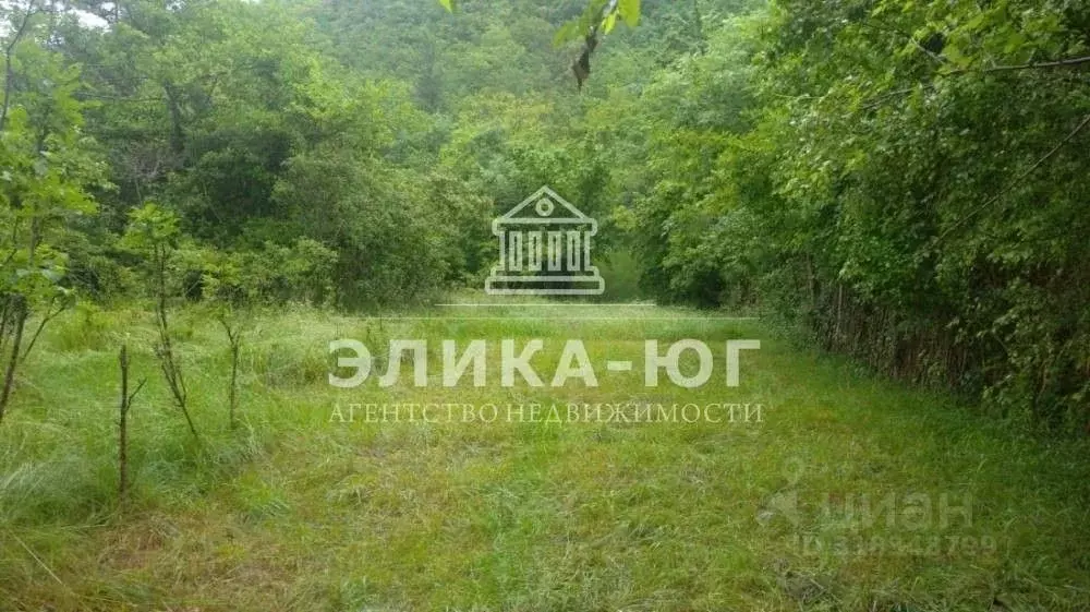 Участок в Краснодарский край, Туапсинский муниципальный округ, с. ... - Фото 1