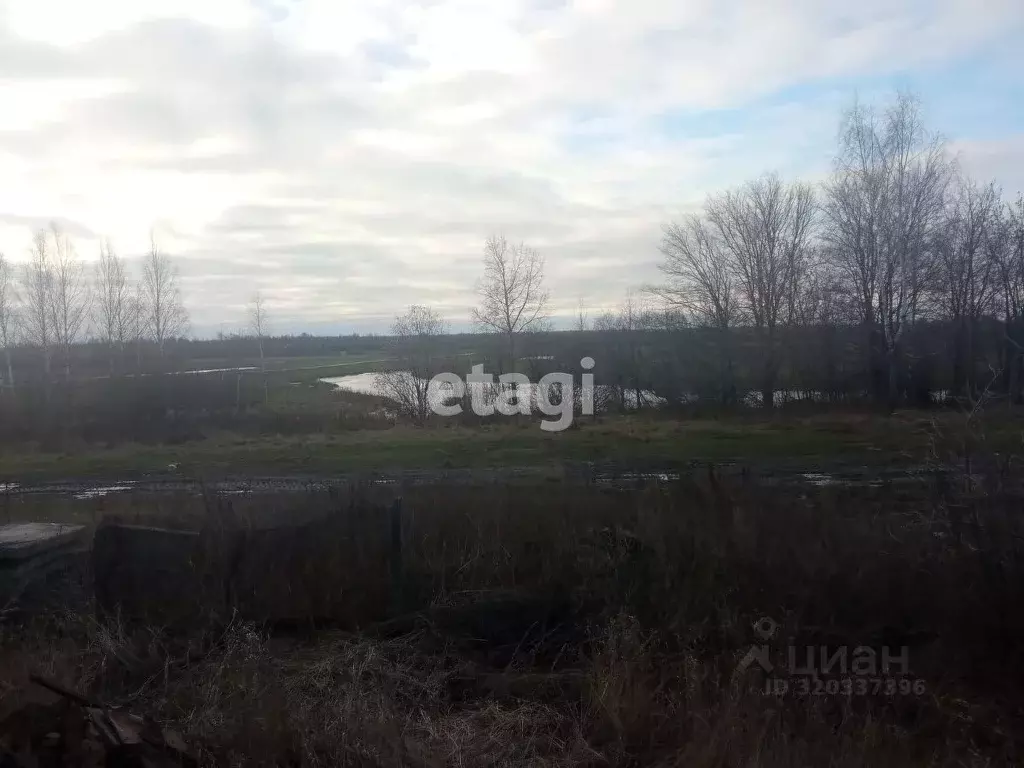 Дом в Костромская область, Костромской район, Шунгенское с/пос, д. ... - Фото 2