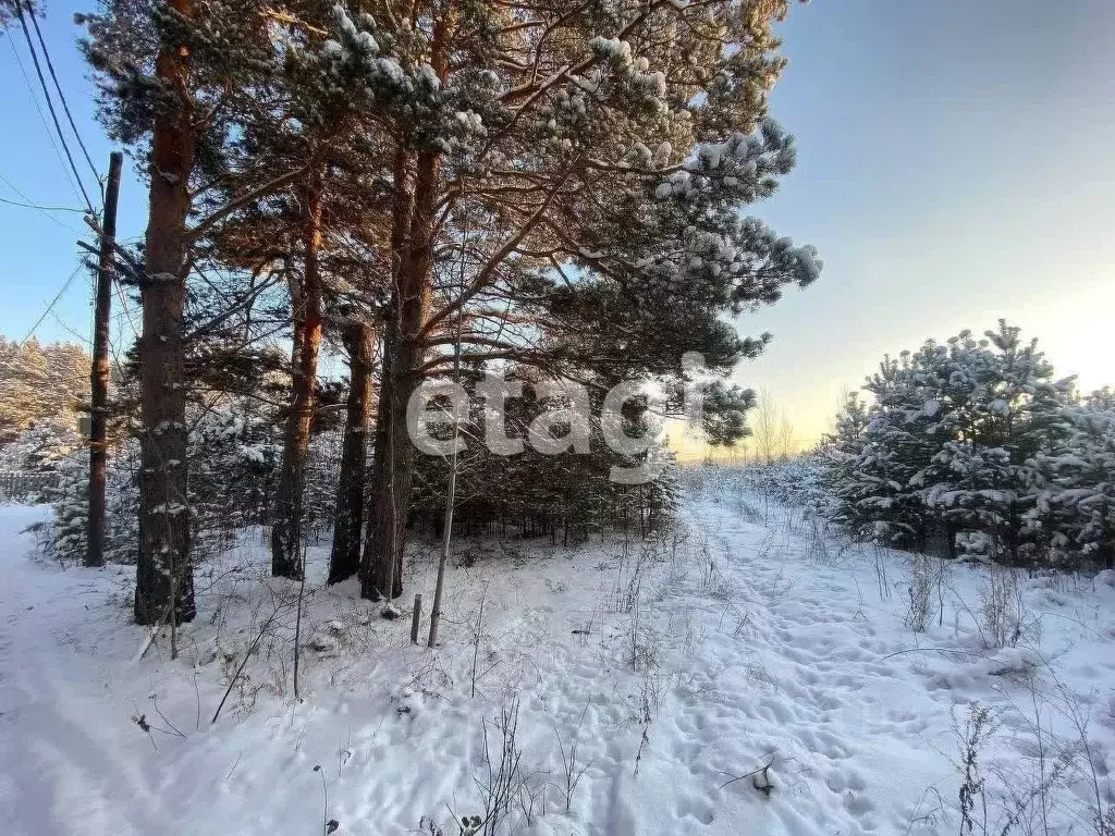 Участок в Красноярский край, Емельяново городское поселение, Гринбург ... - Фото 0