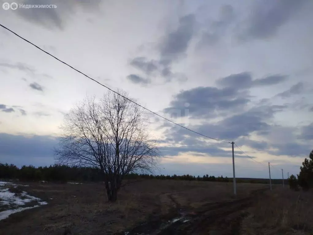 Участок в Сарапульский район, деревня Петровка, Дачная улица (49 м) - Фото 1
