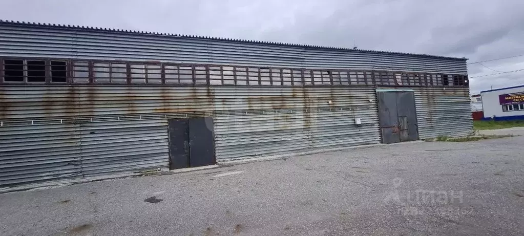 Склад в Ямало-Ненецкий АО, Новый Уренгой ул. Промысловая, 2А/17 (706 ... - Фото 1