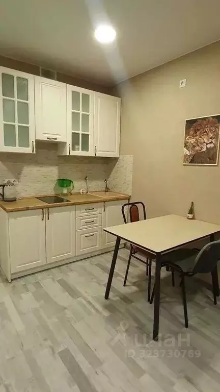 Студия Татарстан, Казань ул. Азата Аббасова, 9 (31.0 м) - Фото 2