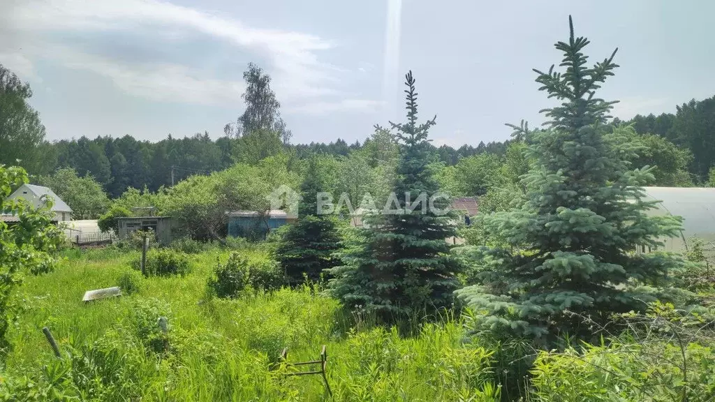 Дом в Калужская область, Калуга Рябинка СНТ, ул. Цветочная, 148 (21 м) - Фото 0