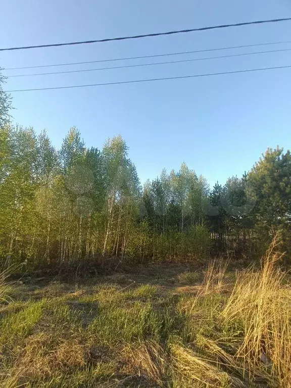 Участок 10 сот. (ИЖС) - Фото 0