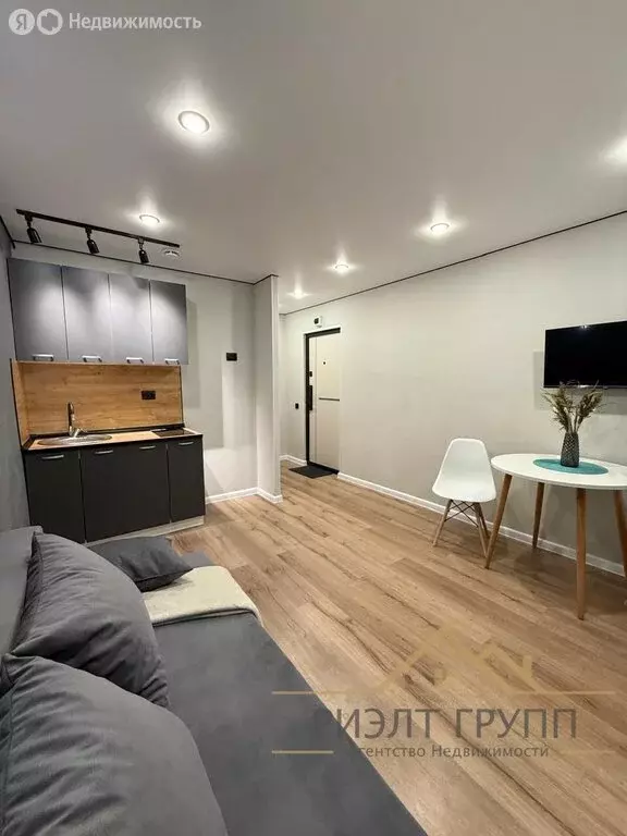 Квартира-студия: Казань, улица Гастелло, 20 (20 м) - Фото 1