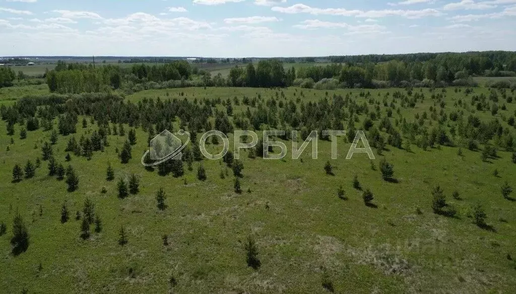 Участок в Тюменская область, Тюменский район, д. Елань ул. Молодежная ... - Фото 0