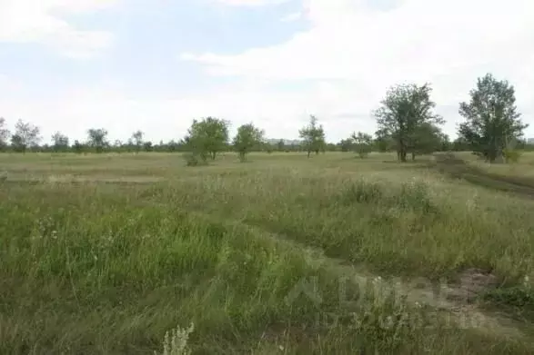 Участок в Самарская область, Тольятти Южное ш. (4500.0 сот.) - Фото 1