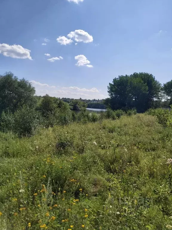 Участок в Тульская область, Новомосковск городской округ, д. Большие ... - Фото 1