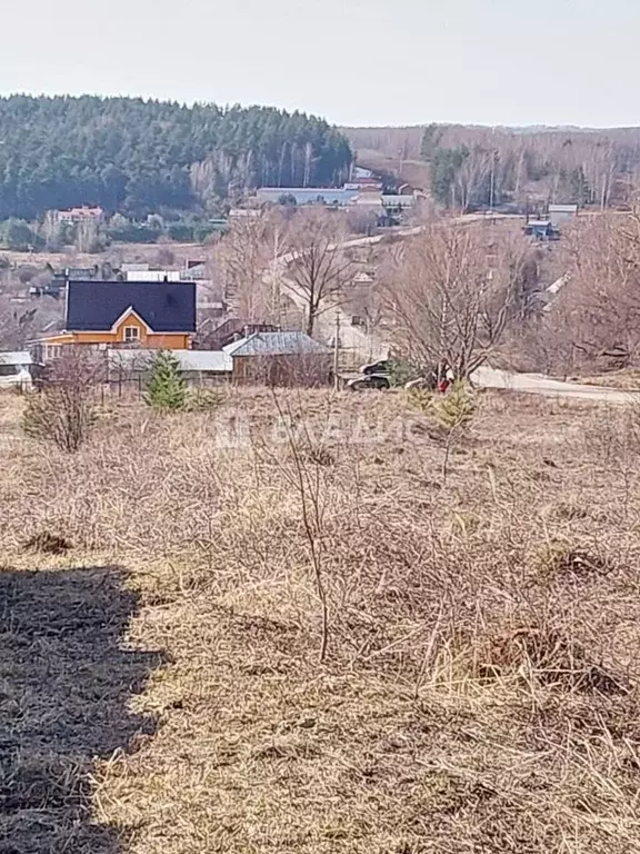 Участок в Нижегородская область, Богородский муниципальный округ, ... - Фото 0