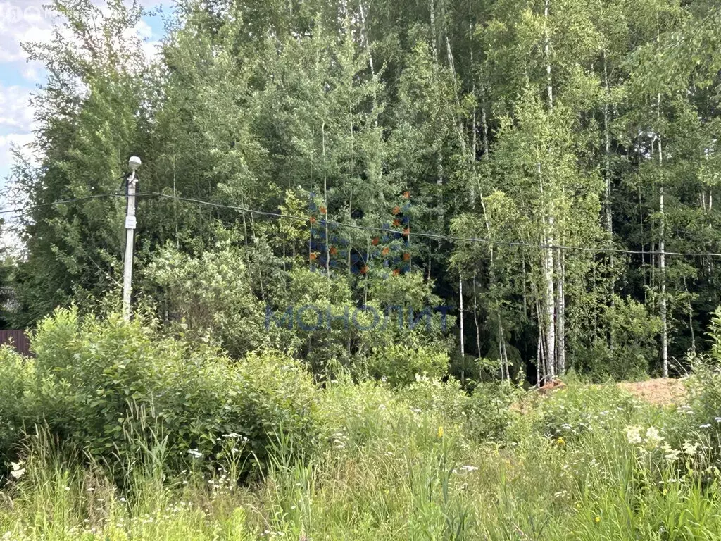 Участок в Московская область, городской округ Солнечногорск, СНТ ... - Фото 0