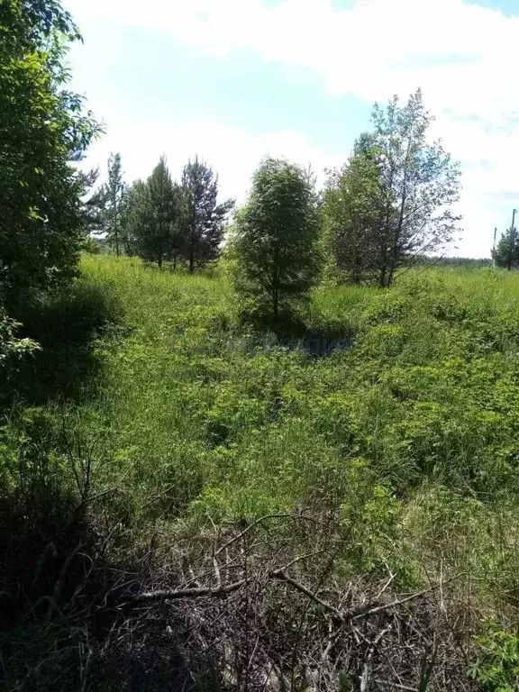 Участок в Нижегородская область, Дальнеконстантиновский муниципальный ... - Фото 1