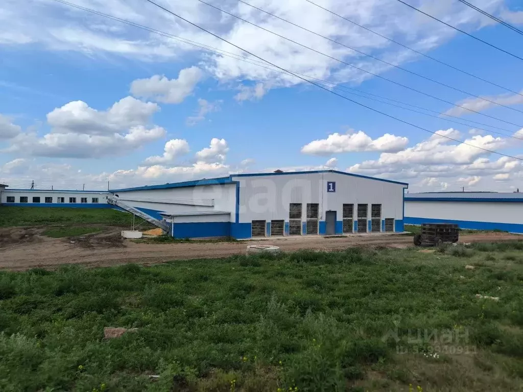 Склад в Красноярский край, Рыбинский муниципальный округ, д. Власть ... - Фото 1