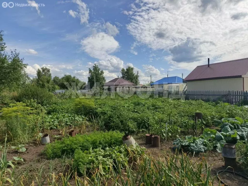 Дом в Карасук, улица Ландика (64 м) - Фото 0