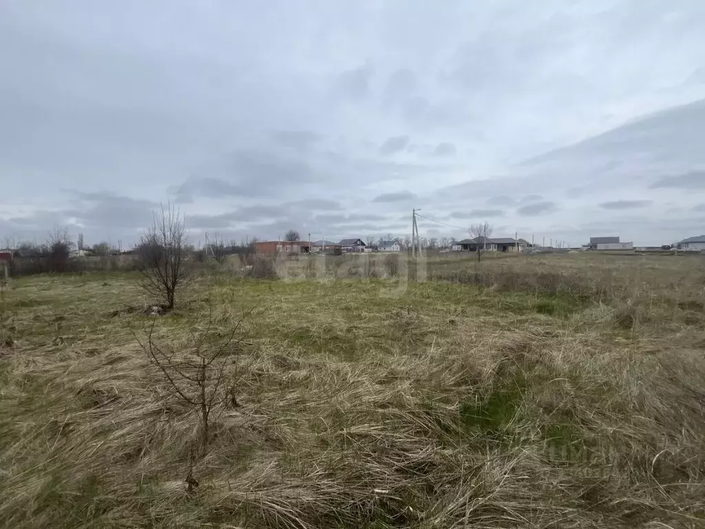 Участок в Воронежская область, Борисоглебск ул. Плеханова, 38 (6.49 ... - Фото 1