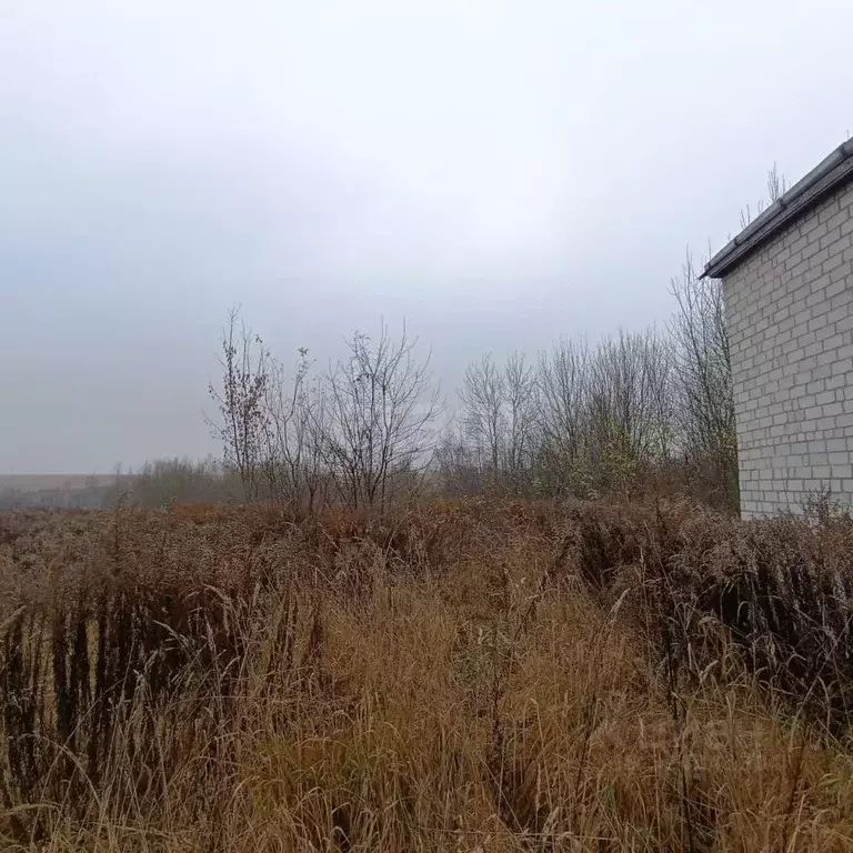 Участок в Брянская область, Брянский район, Добрунское с/пос, д. ... - Фото 1