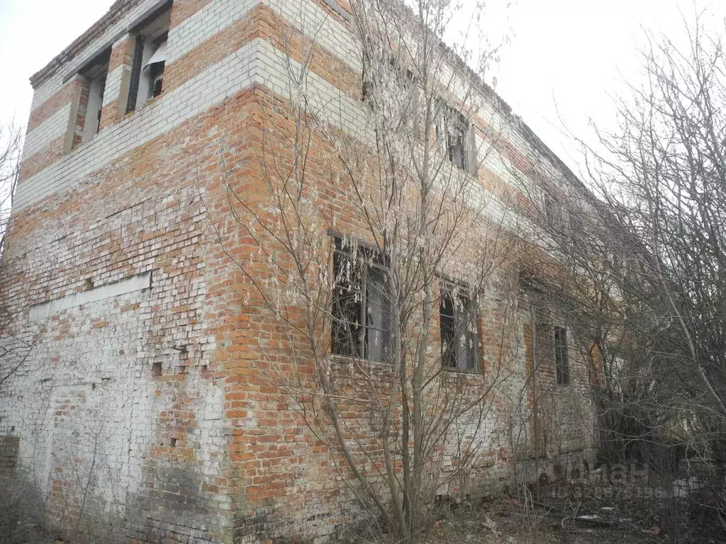 Производственное помещение в Белгородская область, Прохоровский район, ... - Фото 2
