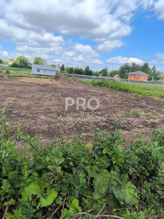 Участок в Ярославская область, Некоузский муниципальный округ, д. ... - Фото 2