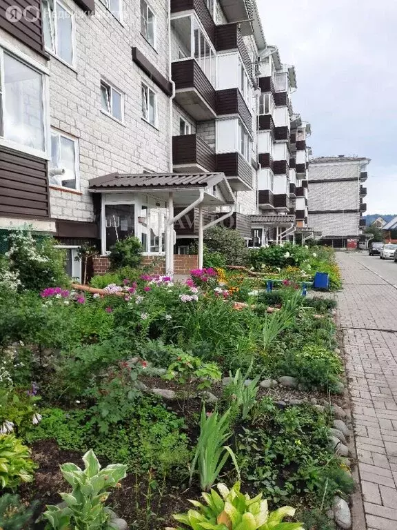 1-комнатная квартира: село Майма, улица Д. Климкина, 20к2 (36.5 м) - Фото 1