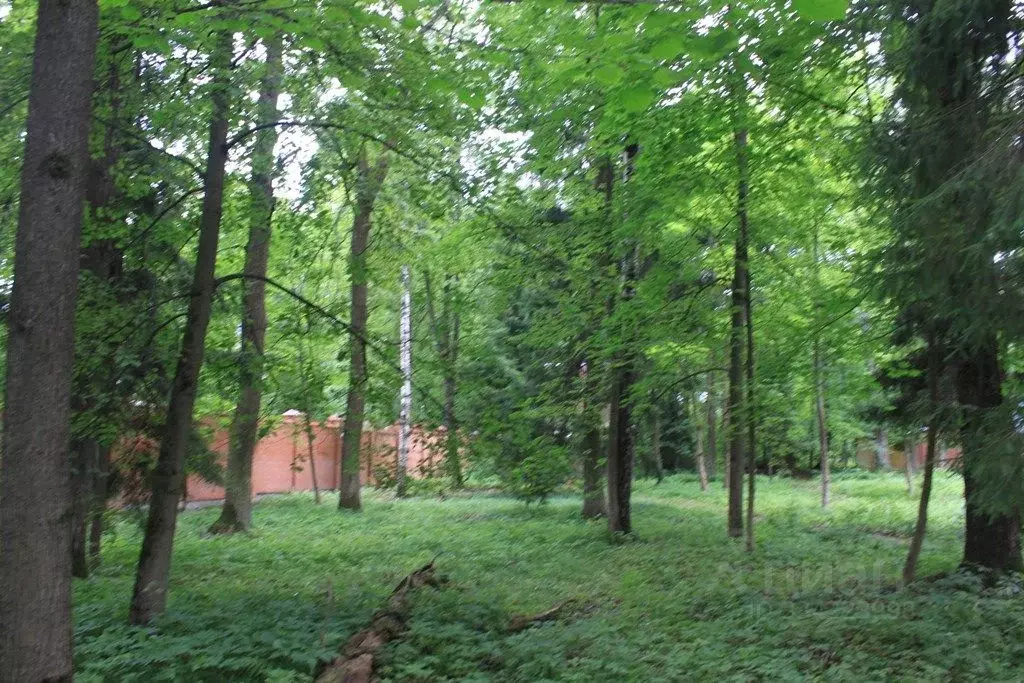 Участок в Московская область, Одинцовский городской округ, д. ... - Фото 1