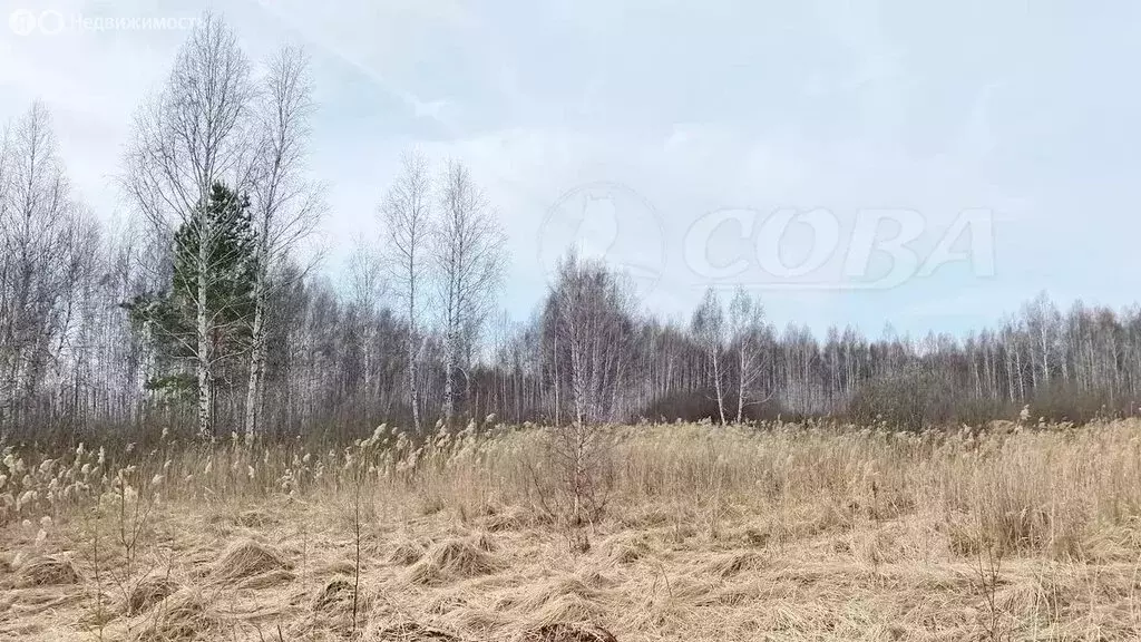 Участок в Тюменский район, посёлок городского типа Богандинский (16.5 ... - Фото 0