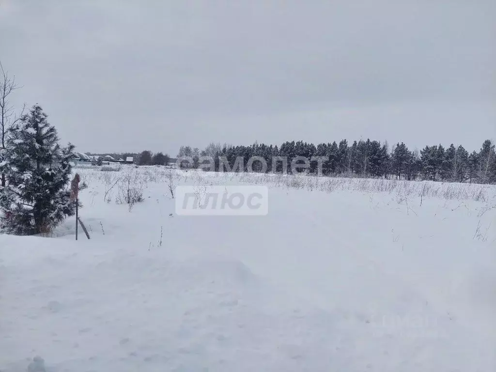 Участок в Челябинская область, Красноармейский муниципальный округ, с. ... - Фото 1