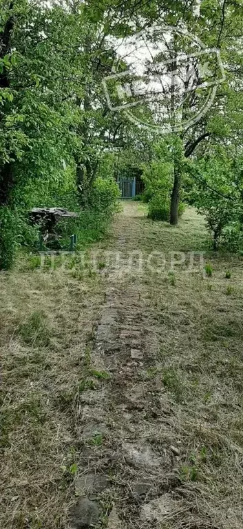 Участок в Ростовская область, Октябрьский район, Красюковское с/пос, ... - Фото 1