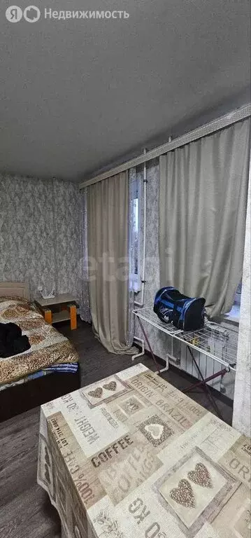 Квартира-студия: село Майма, улица Д. Климкина, 20к3 (24.8 м) - Фото 2