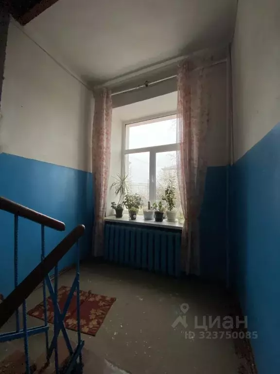 2-к кв. Коми, Сыктывкар Интернациональная ул., 115 (52.7 м) - Фото 2