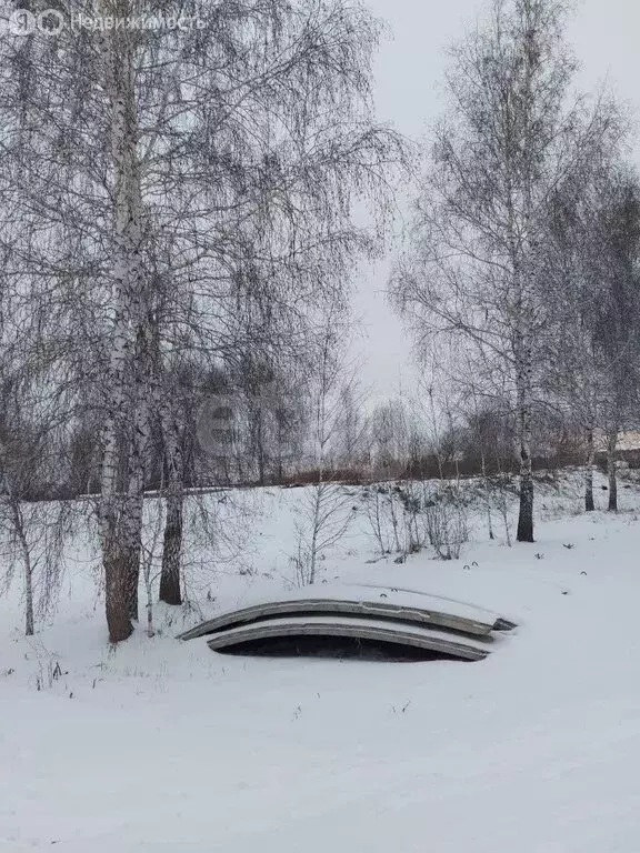 Участок в Морозовское сельское поселение, СНТ Красная Гвоздика (850 м) - Фото 2