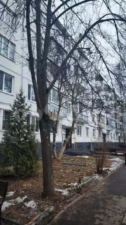 Продается 3-комнатная квартира - Фото 1