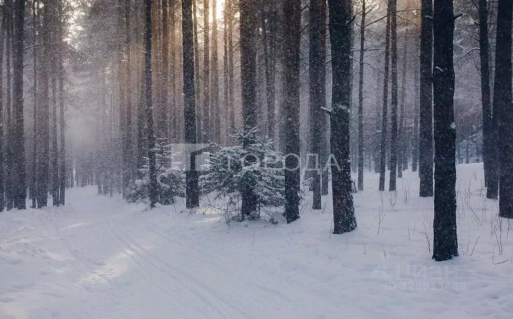Участок в Новосибирская область, Искитимский район, Морозовский ... - Фото 1