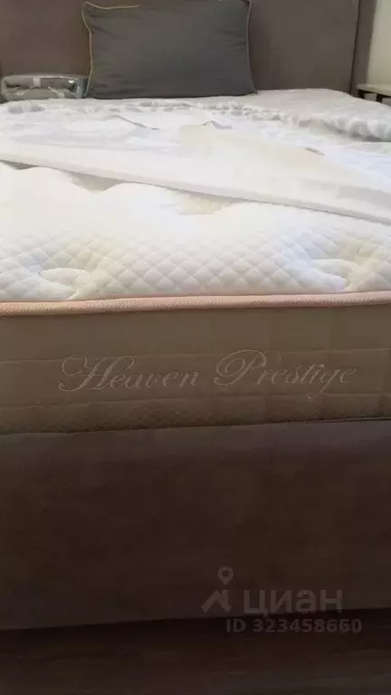 Студия Санкт-Петербург ул. Пахомовская, 18к2 (20.0 м) - Фото 2