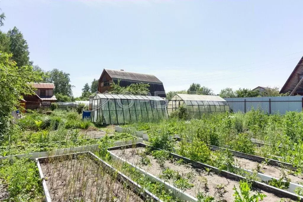 Дом в Тюменская область, Тюмень Собственников недвижимости Весна СНТ, ... - Фото 1