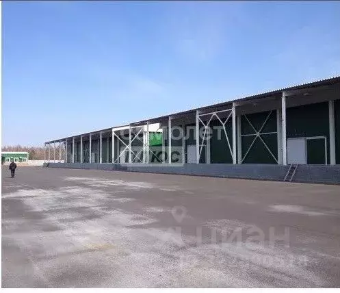 Склад в Брянская область, Карачевское городское поселение, пос. ... - Фото 1