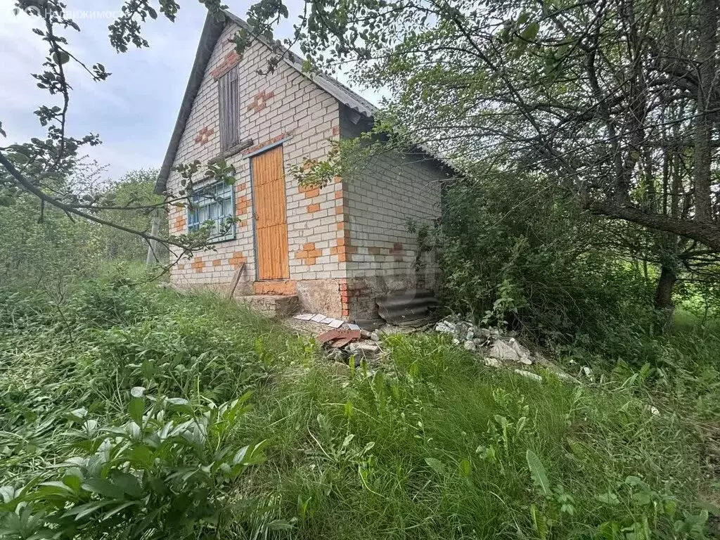 Дом в Белгород, дачный поселок Ручеек (30 м) - Фото 1