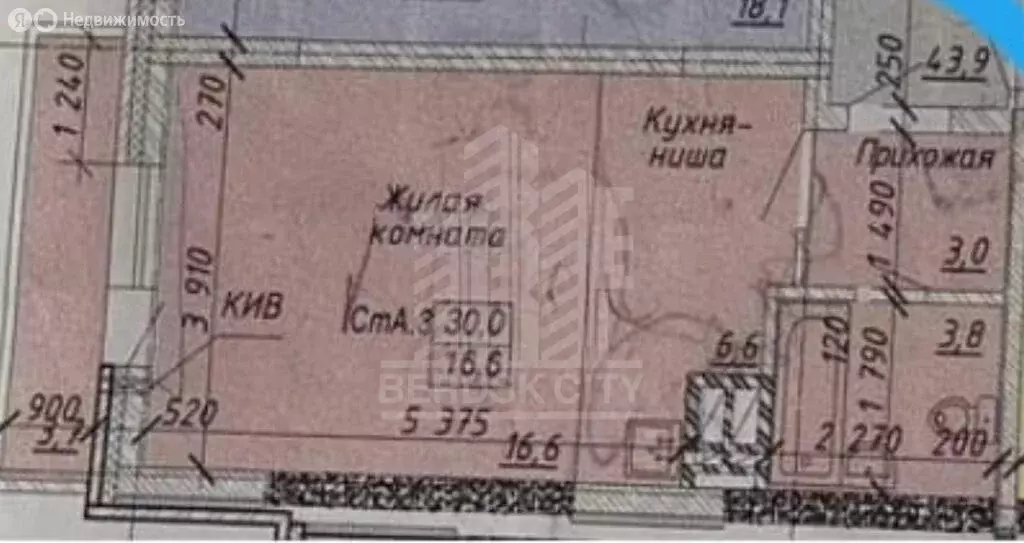 Квартира-студия: Бердск, улица Ленина, 114 (30 м) - Фото 1